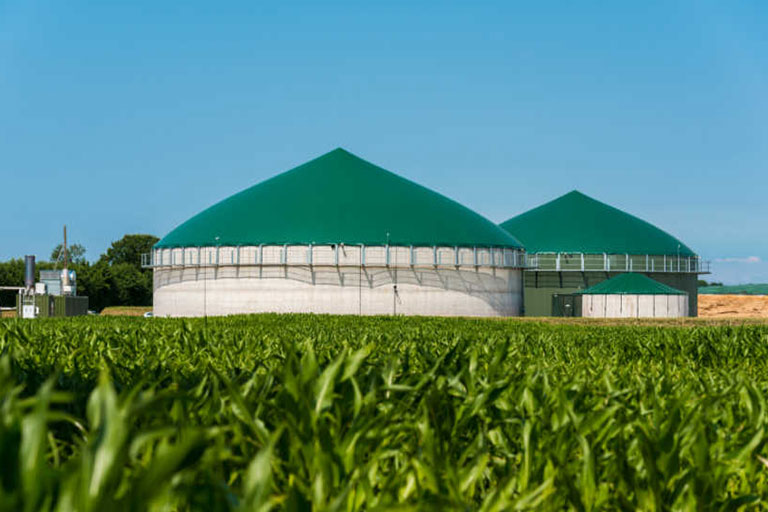 Biogas Plant